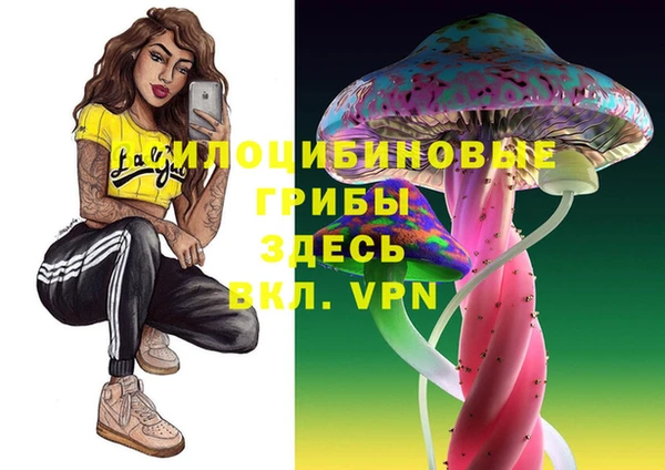 ГАЛЛЮЦИНОГЕННЫЕ ГРИБЫ Армянск