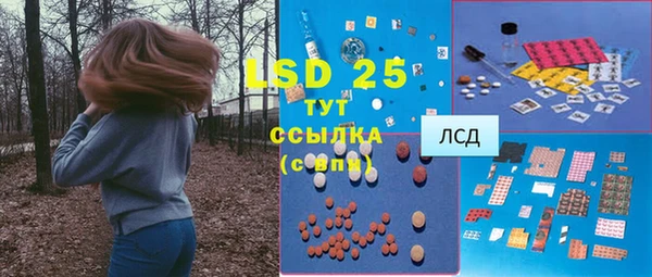 ECSTASY Покачи