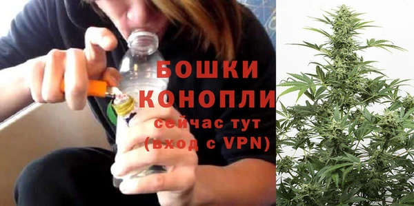 сатива Покров